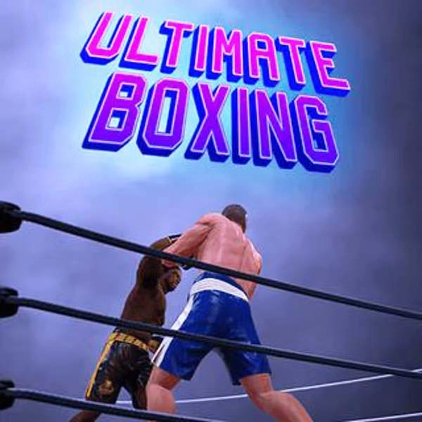 Ultimate Boxing Game Game